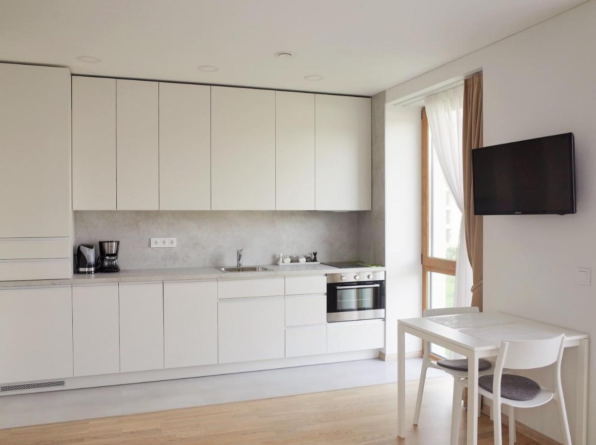 Elzbietos Centro Apartamentai VNO Dış mekan fotoğraf
