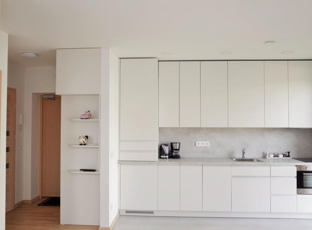 Elzbietos Centro Apartamentai VNO Dış mekan fotoğraf