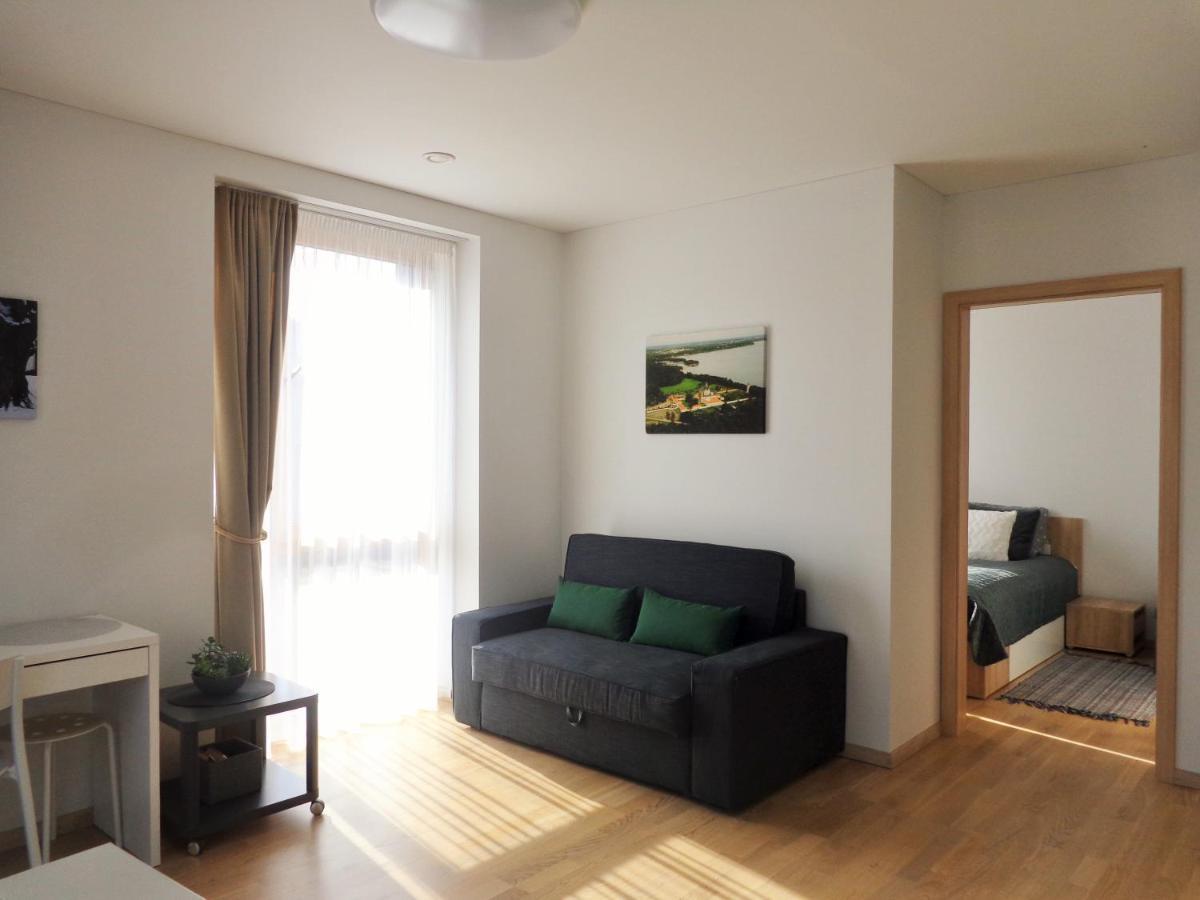 Elzbietos Centro Apartamentai VNO Dış mekan fotoğraf