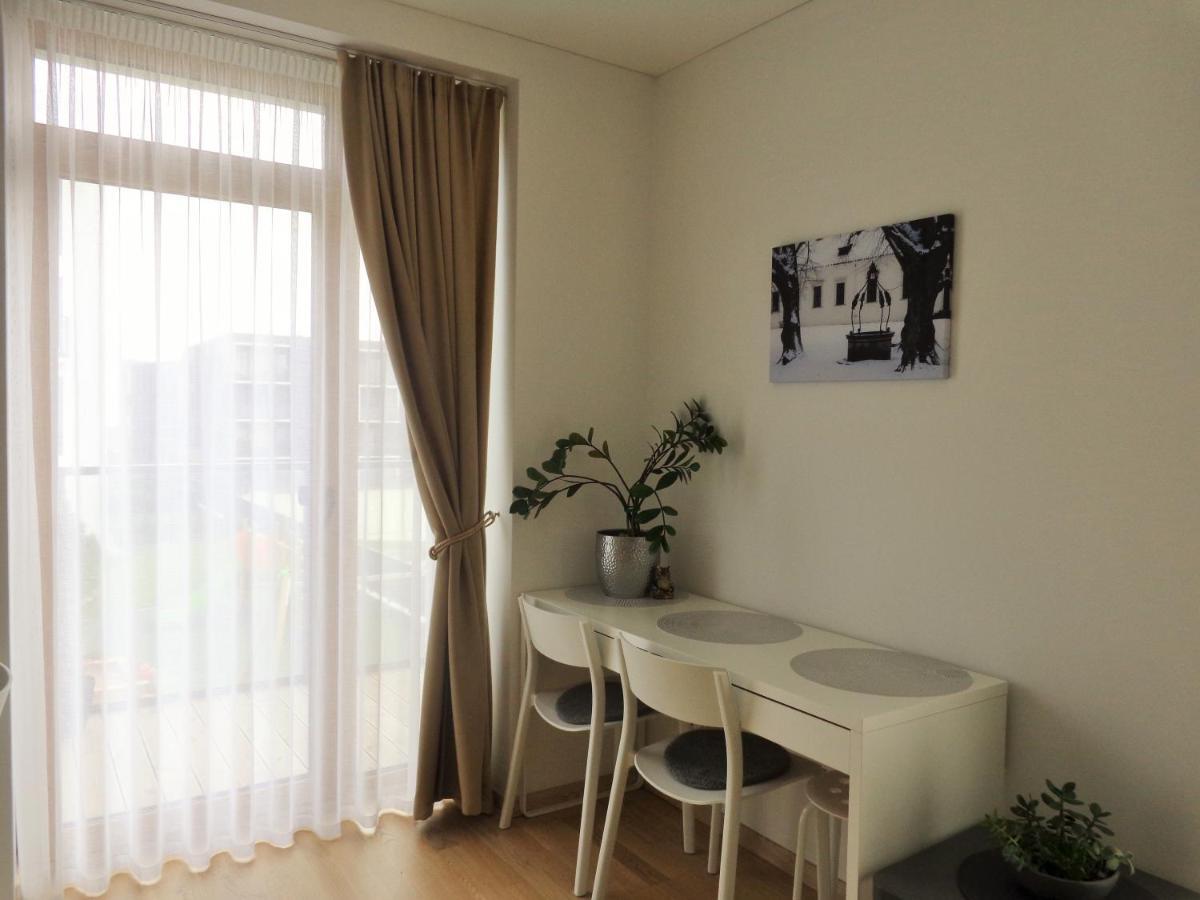 Elzbietos Centro Apartamentai VNO Dış mekan fotoğraf