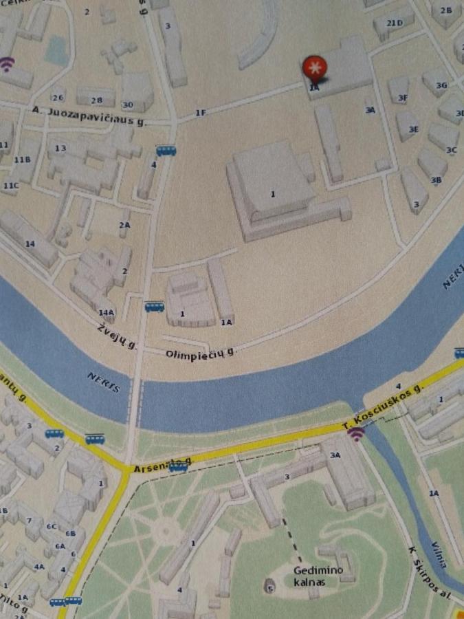 Elzbietos Centro Apartamentai VNO Dış mekan fotoğraf